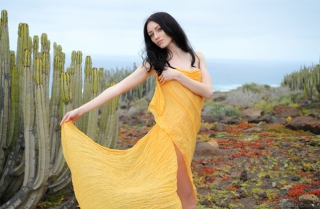 La ragazza dai capelli scuri Zsanett Tormay rivela la sua bella figa e il suo bel culo grazie ai cactus