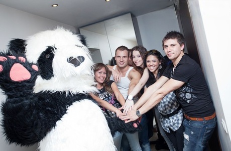 College students take part in hardcore group sex with the help of a panda bear
