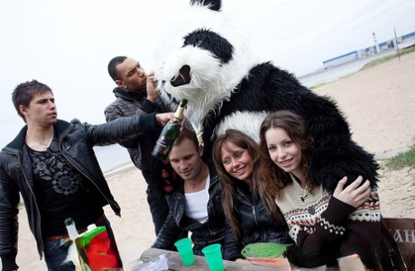 College-studenter drikker seg fulle med hjelp fra en panda før de har gruppesex