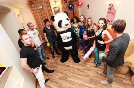 Studenti universitari ubriachi vengono guidati al sesso di gruppo da un orso panda