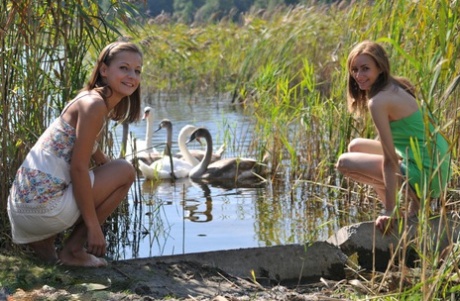 Jonge lesbiennes Nastya & Ashly gaan naakt op een steiger in het riet