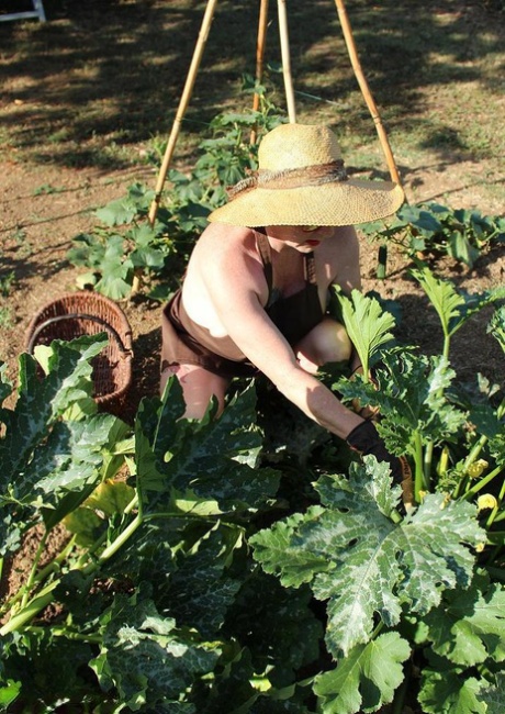 熟女メアリー・ビッチが庭で季節の野菜をスナッチに押し込む