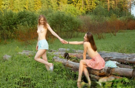 Thin teens Flicka Luchik & Alice Kingsly go lesbian on a blanket in a field