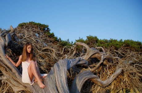 Beautiful young girl Nedda gets totally naked on the roots of a tree