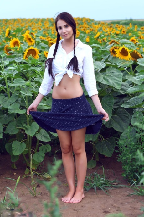 Sweet young Vanessa in pigtails spreading skinny ass naked in the sunflowers