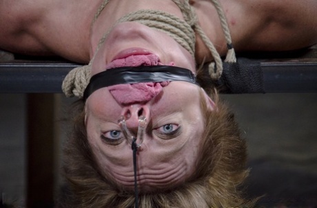 Wit meisje Darling spuit terwijl ze gevingerd wordt tijdens extreme bondage actie