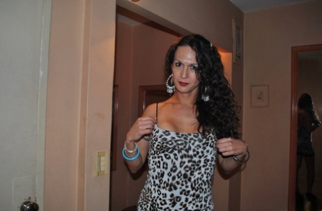 Latina Tranny bortkastede trannies