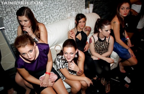 Naar sperma snakkende amateur-hotties pronken met hun pijpkunsten op een clubfeestje