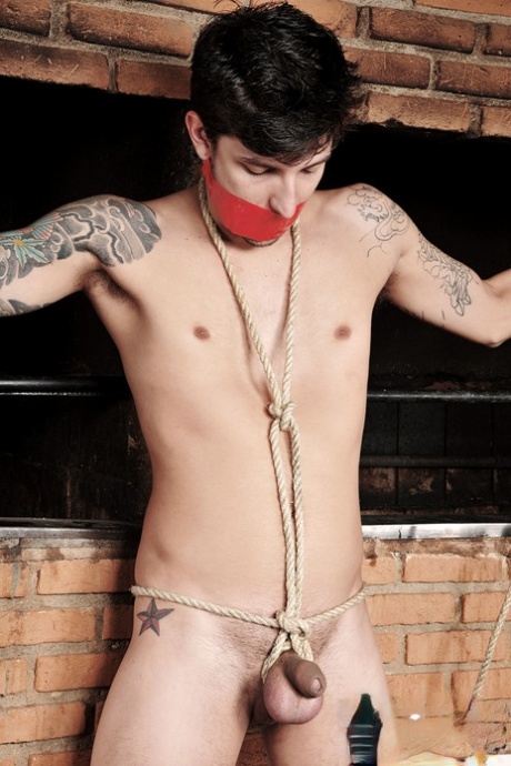 Kinky latinamerikanske shemales viser rumpa og knuller en underdanig fyr