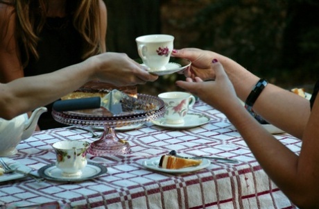 Perverse Hausfrauen stellen sich für Maschinensex an einem Picknicktisch nach Tee und Kuchen an