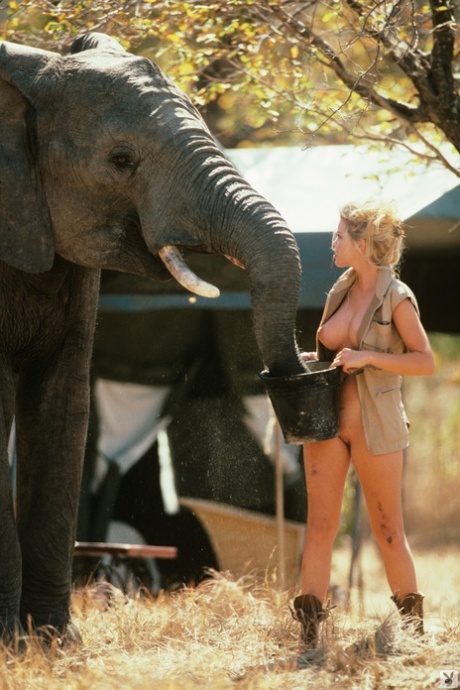 Playboy dolls strip and show off their killer bodies during Safari adventures