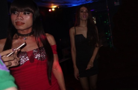 Sexy petite ladyboy asiática y sus amigos disfrutan posando cándida vestida en el bar