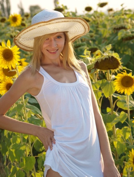 La esbelta rubia Eva K se desnuda en un enorme campo de girasoles