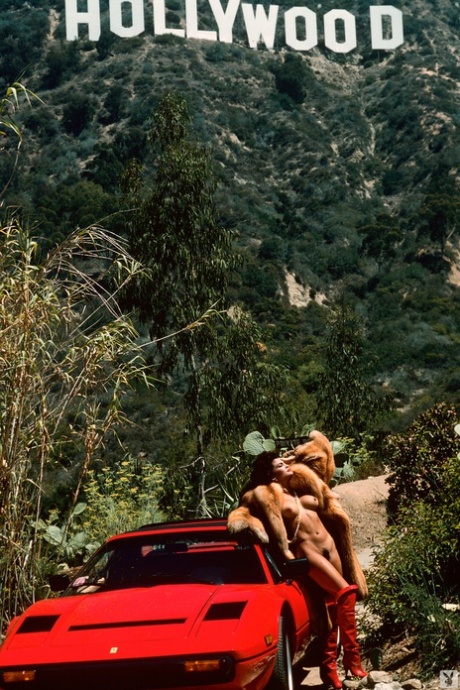 Playboy-modellen geven hun ongelooflijke lichamen bloot tijdens fotoshoot in Hollywood
