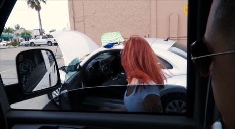 Alessa Snow, una ragazza amatoriale, si fa scopare il culo nel furgone da uno sconosciuto di colore