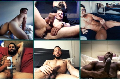 Bromo Calvin Banques, Dante Colle, Élie Wilde, Johnny Colline, Luis Rubi, Rhyheim S