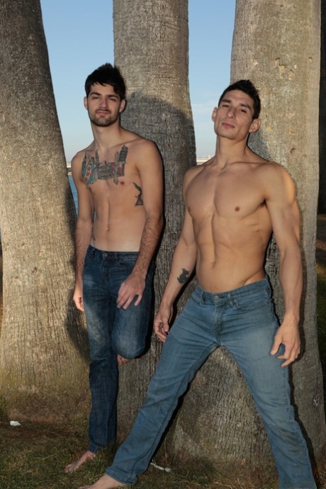 肌肉发达的性感男同性恋者 利罗伊-琼斯和吉姆-纳斯特互相操练