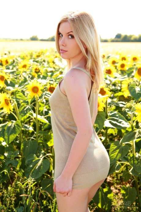 Ganz natürliches slowakisches Babe Kala Ferard strippt nackt in einem Sonnenblumenfeld