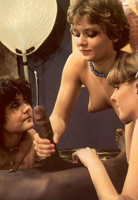 两个可爱的女孩在复古三人组中被 BBC 操着毛茸茸的阴户