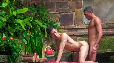 Femenino asiático gay Tyler Wu es follado por el guapo Alex B al aire libre
