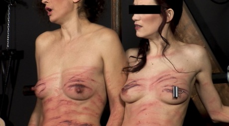 Brune babes viser frem sine nakne kropper dekket av piskemerker i en BDSM-scene.