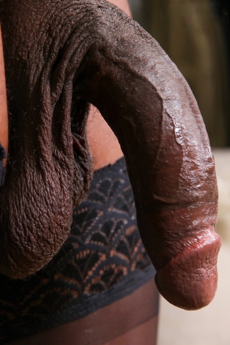 La transexual negra Kandy Kreamzzz muestra su gran culo mientras se desnuda en el sofá