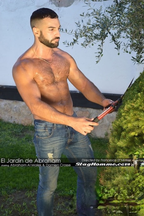 Hairy gay model Abraham Al Malek bangs businessman Damien Crosse in the ass