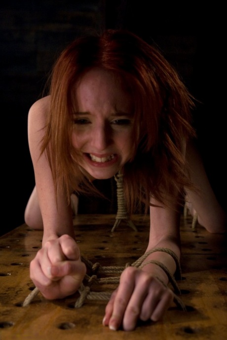 Megan Murray im Hogtie gefesselt