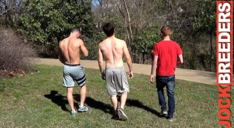 Homosexuella män Joshua James, Brogan Reed & Logan bur har en vild anal Trekant