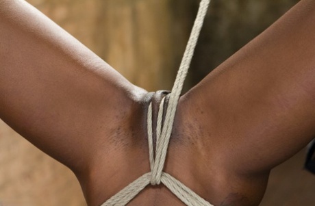 Ana Foxxx, la ragazza nuda di ebano, si fa scopare con un vibratore nel bondage di corda