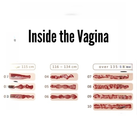 Sex N Dolls Naked Pictures